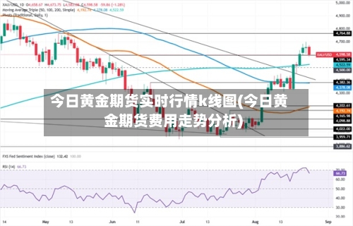 今日黄金期货实时行情k线图(今日黄金期货费用走势分析)-第2张图片