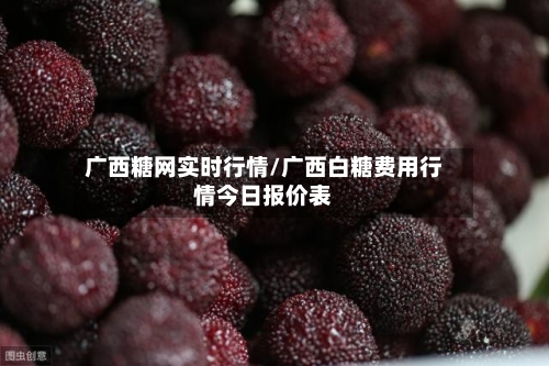 广西糖网实时行情/广西白糖费用行情今日报价表-第1张图片