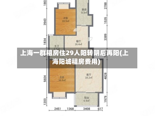 上海一群租房住29人阳转阴后再阳(上海阳城租房费用)