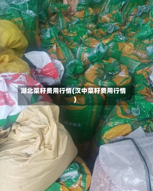 湖北菜籽费用行情(汉中菜籽费用行情)-第1张图片