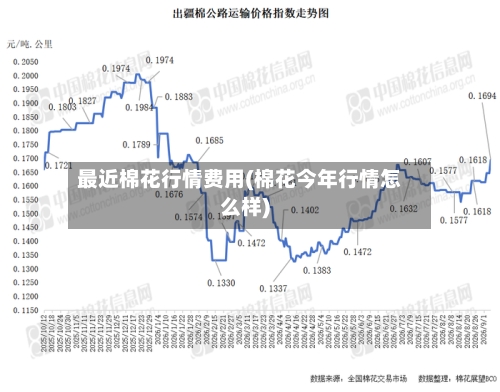 最近棉花行情费用(棉花今年行情怎么样)