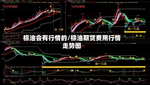 棕油会有行情的/棕油期货费用行情走势图
