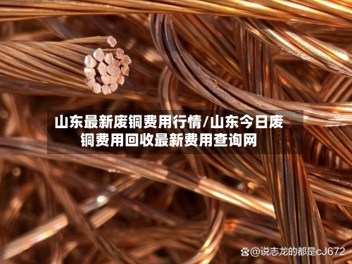 山东最新废铜费用行情/山东今日废铜费用回收最新费用查询网