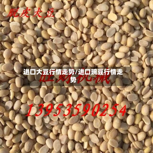 进口大豆行情走势/进口豌豆行情走势-第3张图片