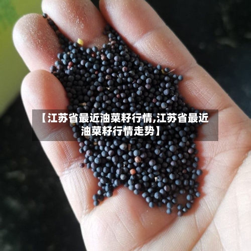 【江苏省最近油菜籽行情,江苏省最近油菜籽行情走势】