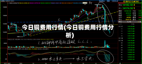 今日铜费用行情(今日铜费用行情分析)