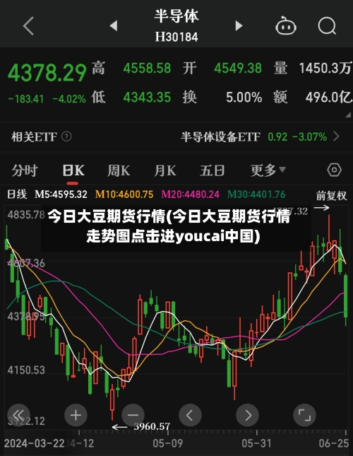 今日大豆期货行情(今日大豆期货行情走势图点击进youcai中国)