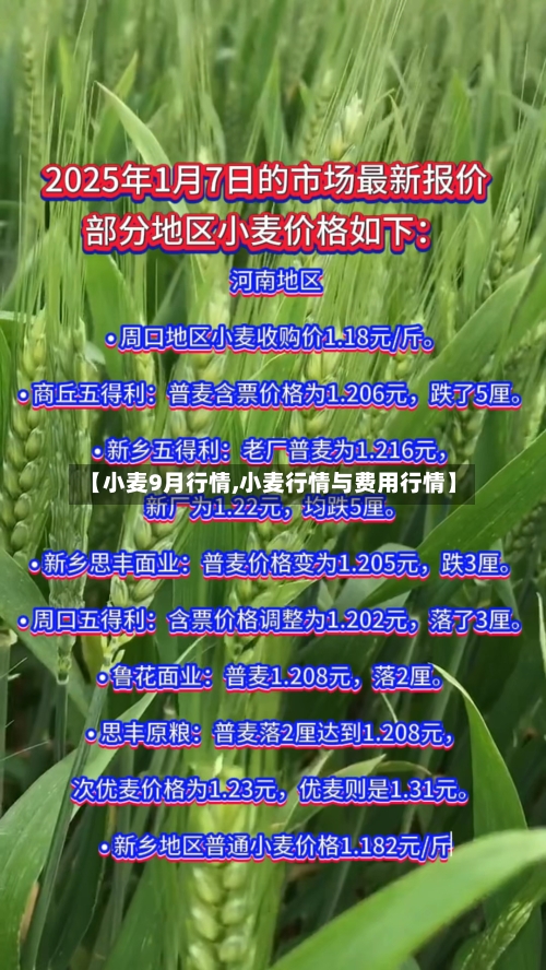 【小麦9月行情,小麦行情与费用行情】