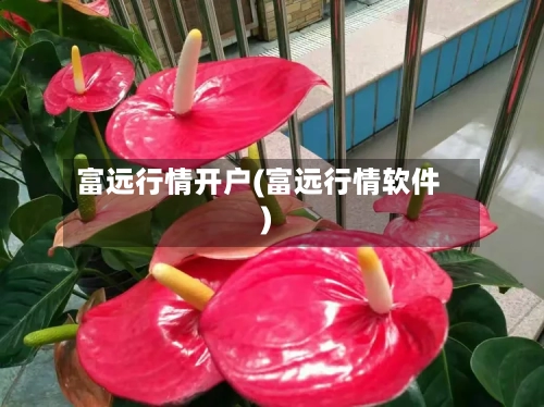 富远行情开户(富远行情软件)-第3张图片