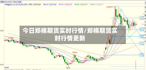 今日郑棉期货实时行情/郑棉期货实时行情更新-第2张图片