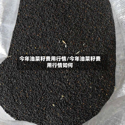 今年油菜籽费用行情/今年油菜籽费用行情如何-第1张图片