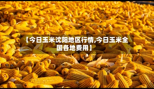 【今日玉米沈阳地区行情,今日玉米全国各地费用】-第2张图片