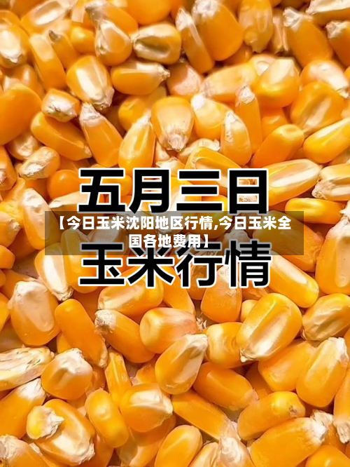 【今日玉米沈阳地区行情,今日玉米全国各地费用】-第3张图片