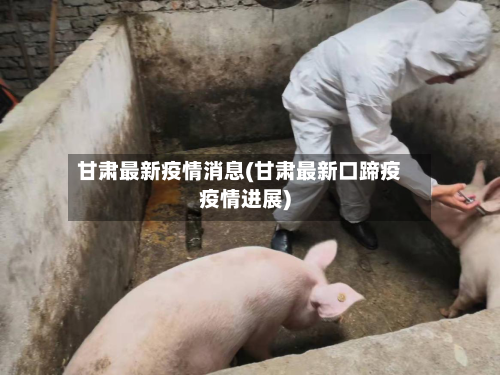 甘肃最新疫情消息(甘肃最新口蹄疫疫情进展)-第1张图片