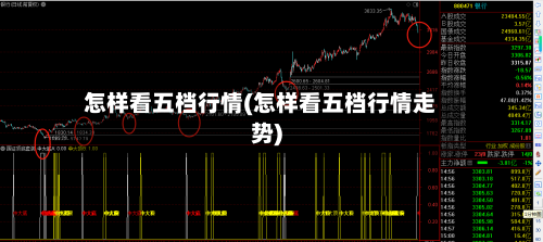 怎样看五档行情(怎样看五档行情走势)-第1张图片