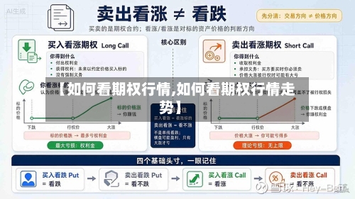 【如何看期权行情,如何看期权行情走势】-第2张图片