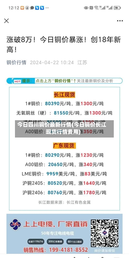 今日四川铜价最新行情(今日铜价长江现货行情费用)-第3张图片