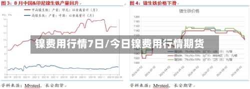 镍费用行情7日/今日镍费用行情期货-第1张图片