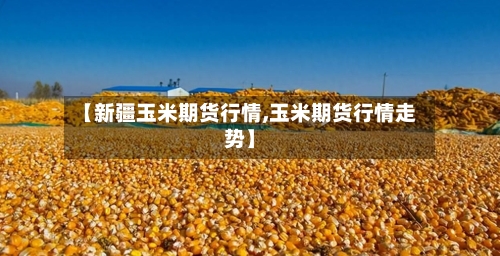 【新疆玉米期货行情,玉米期货行情走势】-第1张图片