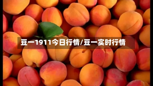 豆一1911今日行情/豆一实时行情-第1张图片