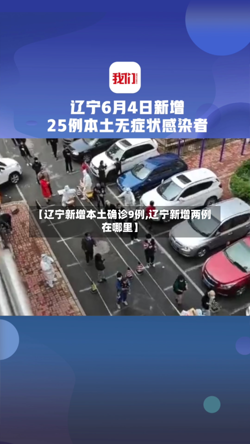 【辽宁新增本土确诊9例,辽宁新增两例在哪里】-第1张图片