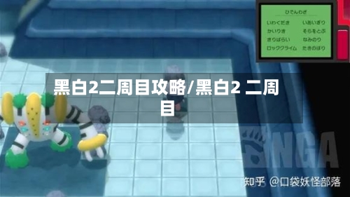 黑白2二周目攻略/黑白2 二周目-第2张图片