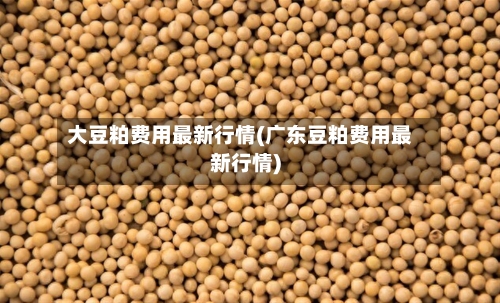 大豆粕费用最新行情(广东豆粕费用最新行情)-第2张图片