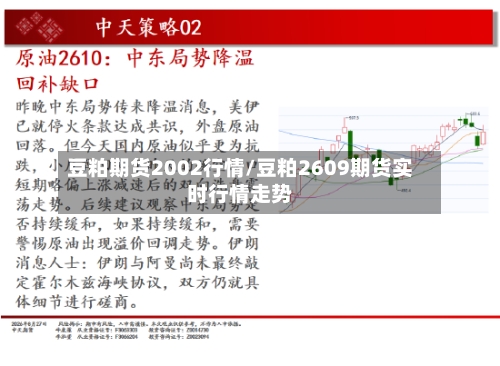 豆粕期货2002行情/豆粕2609期货实时行情走势-第2张图片