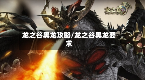龙之谷黑龙攻略/龙之谷黑龙要求