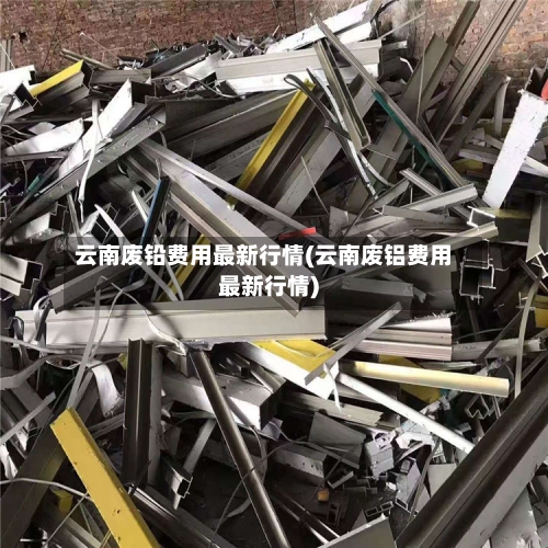 云南废铅费用最新行情(云南废铝费用最新行情)