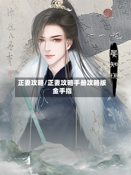 正妻攻略/正妻攻略手册攻略版金手指