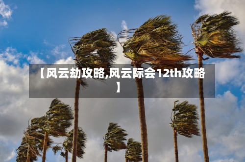 【风云劫攻略,风云际会12th攻略】