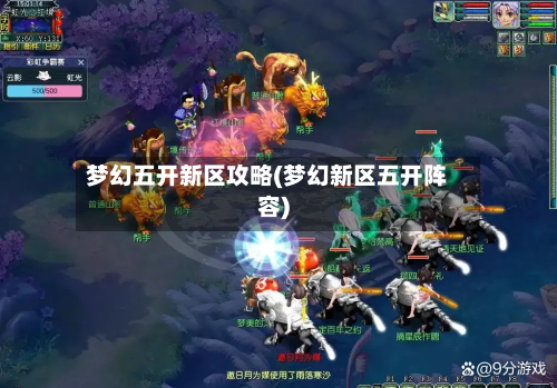 梦幻五开新区攻略(梦幻新区五开阵容)