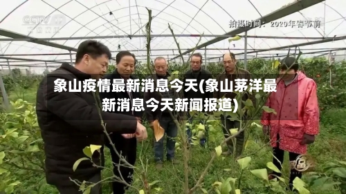 象山疫情最新消息今天(象山茅洋最新消息今天新闻报道)-第3张图片