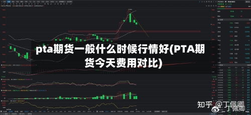 pta期货一般什么时候行情好(PTA期货今天费用对比)-第3张图片