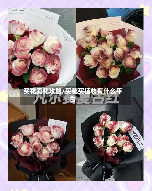 买花卖花攻略/买花买植物有什么平台-第3张图片