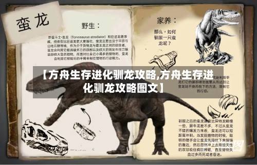 【方舟生存进化驯龙攻略,方舟生存进化驯龙攻略图文】-第2张图片