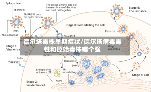 德尔塔毒株早期症状/德尔塔病毒毒性和原始毒株哪个强-第2张图片