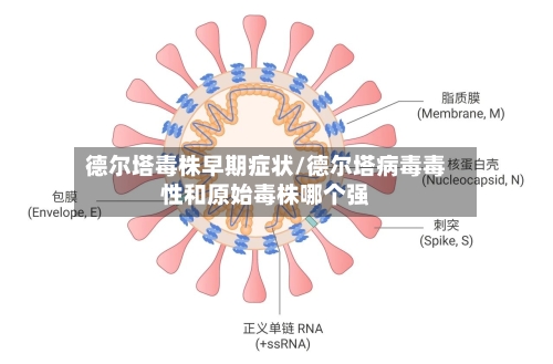 德尔塔毒株早期症状/德尔塔病毒毒性和原始毒株哪个强-第3张图片