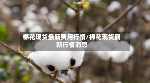 棉花现货最新费用行情/棉花现货最新行情消息-第2张图片