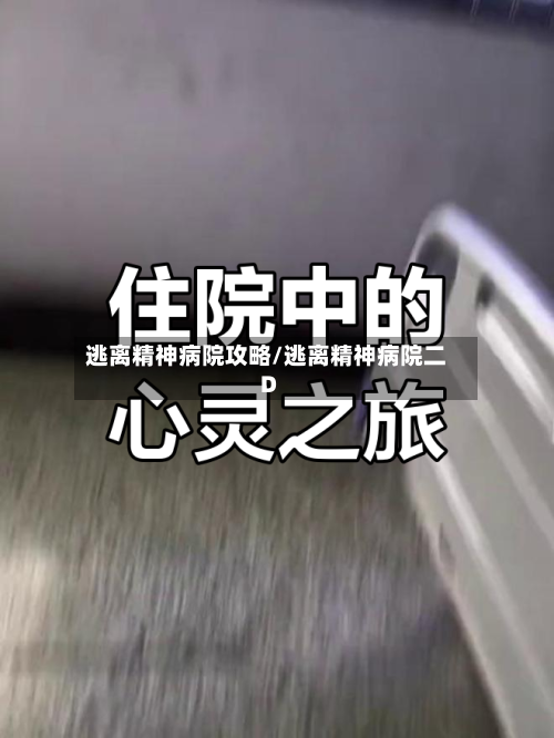逃离精神病院攻略/逃离精神病院二D-第2张图片