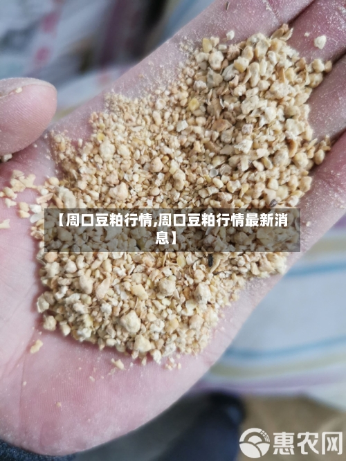 【周口豆粕行情,周口豆粕行情最新消息】-第2张图片