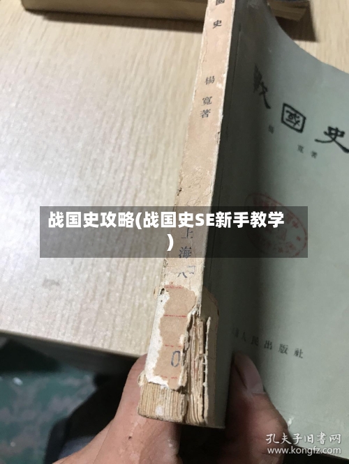 战国史攻略(战国史SE新手教学)-第2张图片