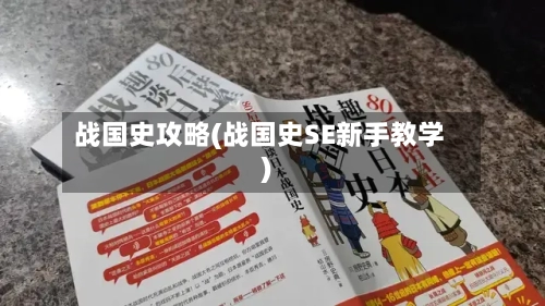 战国史攻略(战国史SE新手教学)