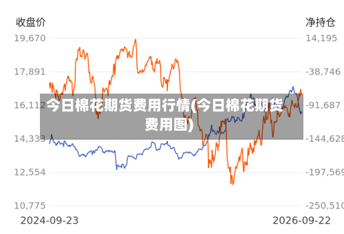 今日棉花期货费用行情(今日棉花期货费用图)-第2张图片