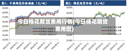 今日棉花期货费用行情(今日棉花期货费用图)