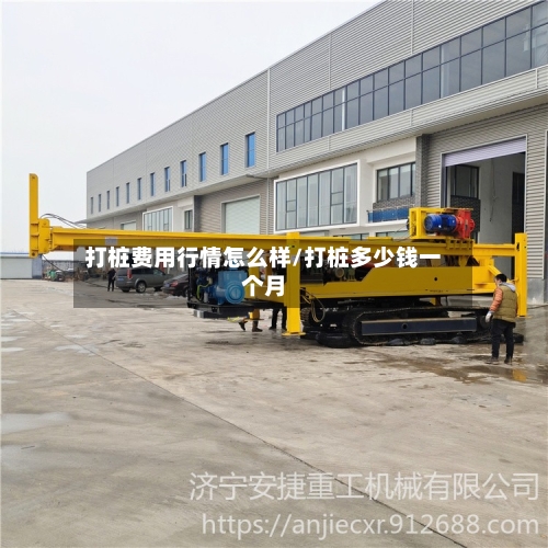 打桩费用行情怎么样/打桩多少钱一个月-第1张图片