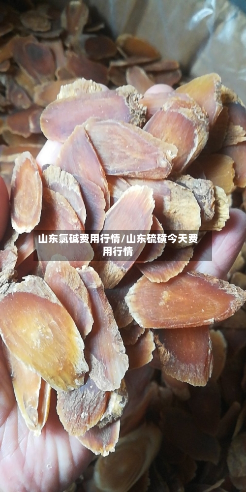 山东氯碱费用行情/山东硫磺今天费用行情