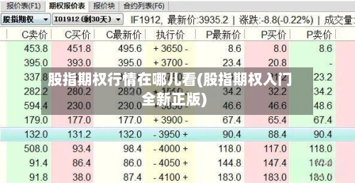 股指期权行情在哪儿看(股指期权入门全新正版)