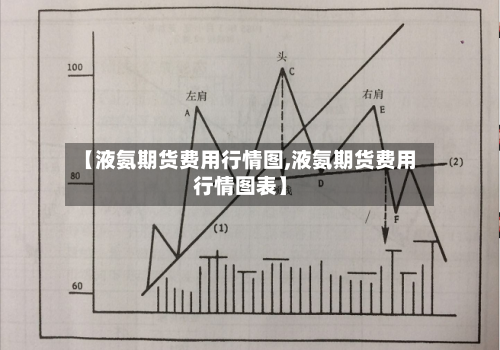 【液氨期货费用行情图,液氨期货费用行情图表】-第2张图片